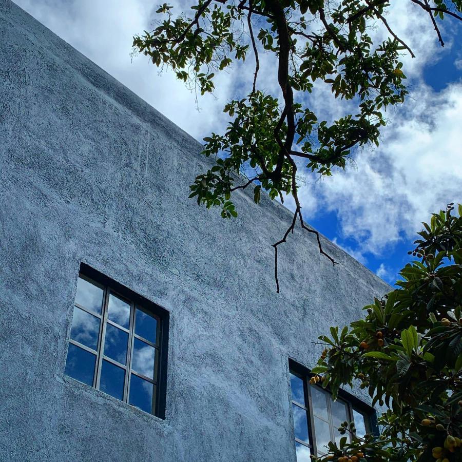 La Betulia Bed And Breakfast Oaxaca Exteriér fotografie