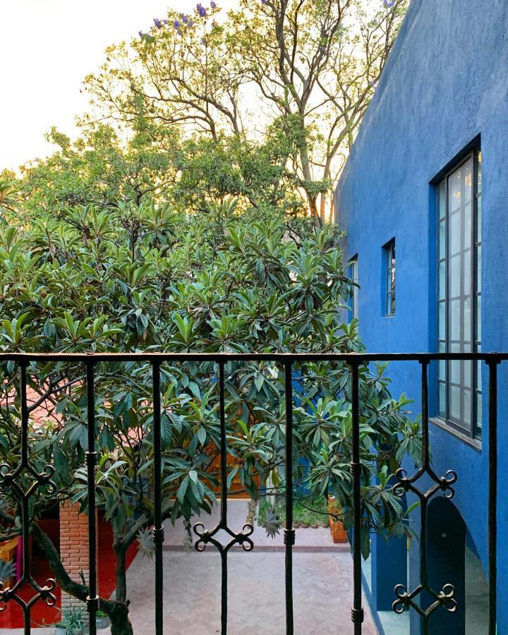 La Betulia Bed And Breakfast Oaxaca Exteriér fotografie