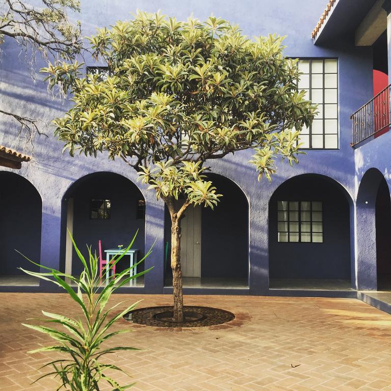 La Betulia Bed And Breakfast Oaxaca Exteriér fotografie